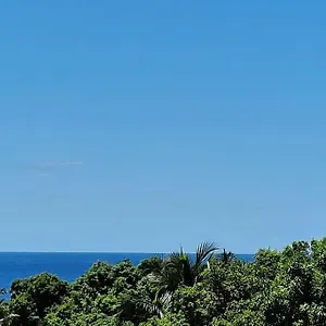 Joli T2 En Bas De Vue Jardin Et Appartement